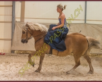 1AMAZONE- 0297